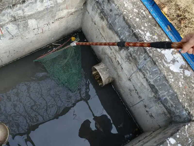 江岸区江汉路厕所堵了马桶堵了捞物品打电话专业疏通快